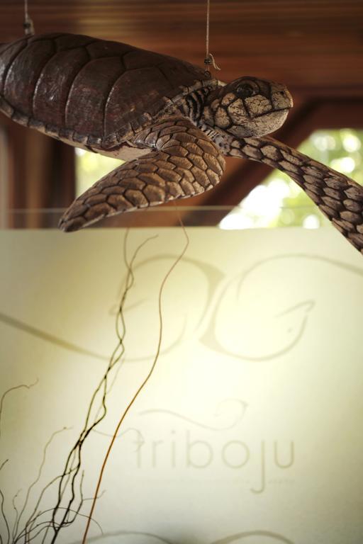 Pousada Triboju Fernando de Noronha Rom bilde